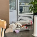 민정사주카페 이미지