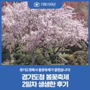 [기회기자단] 경기도청 봄꽃축제 2일차 생생한 후기