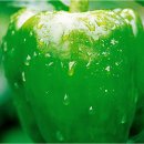 싱싱과일야채 이미지