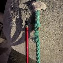 동해-단속-23 이미지