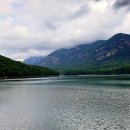 호수와 소나무 이미지