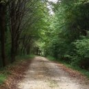 오방길(산성길) 이미지