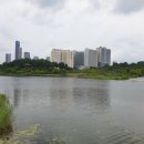 호수공원방울새공원건너편 이미지