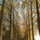 월명 일식 이미지