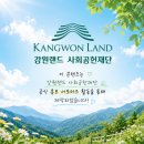 정선군상권활성화재단지점 | 강원랜드 사회공헌재단 청년 인턴십 5명 새로운 배움의 출발! 어떻게?
