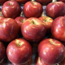 행복상회 이미지