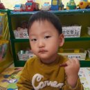 준모농장 Daum카페
