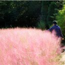 남도가든 이미지