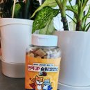 멍냥펀치 이미지