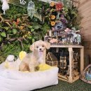 블루유치원 이미지