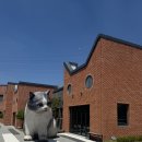 반려마루 화성 이미지