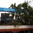 제주권역재활병원 이미지