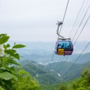 케이블카펜션 - 여수시 돌산로 3562 | 케이블카펜션
