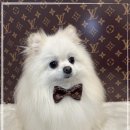 코트니룸 이미지