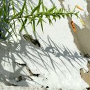 당감2동-2 이미지