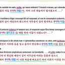 성령과 진리님께-사14:12의 헬렐과 벧후1:19의 포스포로스와 계22:16의 프로이노스 아스테르는 모두 daystar를 말함! 이미지