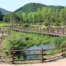 소금랜드 이미지