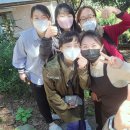 최영자농장 이미지