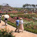 곡성-042 네이버블로그