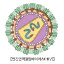 증상이 없는 HIV 감염(HIV infection, asymptomatic) 이미지