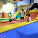 용인대 튼튼 태권도장 이미지