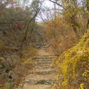 사모정 | 인왕산 수성동계곡 (인왕산둘레길, 수성동계곡 사모정)
