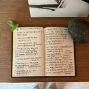 유림-1011 | 2025 버찌책방과의 추억⭐️