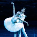 2021 수원발레축제 이미지