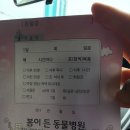 봄이든동물병원