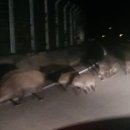 별앤별펜션 이미지