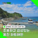 등대길 민박 | 울진 하트해변에서 스노쿨링 조용하고 예쁜 감성 바다