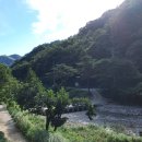 무주읍143 이미지