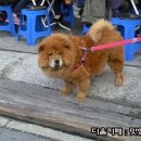 대박농산 이미지