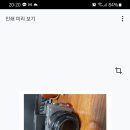 G3923 이미지