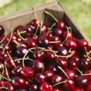 제트 스퀘어(주) 이미지