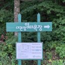 대자연목장 | 강원도 가볼만한곳, 대자연에서 힐링 여행 <대관령 양떼목장>