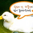 꾀꼴성마을 이미지