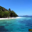 파라다이스 클럽 이미지