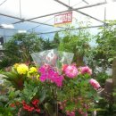 청운세탁소 이미지