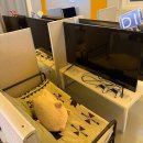 나니아 플스방 이미지