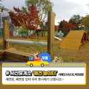 봉봉이 놀이터 이미지