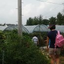 민지네 농장 이미지