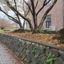 화북진지 이미지