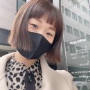 살롱피키