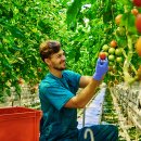 정복농장 이미지