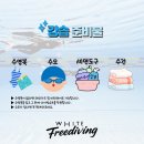 경남 창원 프리다이빙 원데이클래스 화이트프리다이빙 체험 후기