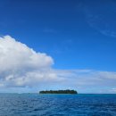 거북이 | 사이판 마나가하섬 거북이호핑투어 후기