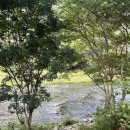 디파트글램핑장 이미지