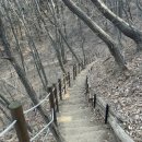 숲속향기생태어린이집 이미지