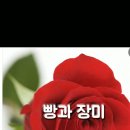 [ 세계여성의 날 인권칼럼] 빵과 장미의 연대, 2026년 구조적 차별을 넘어 실질적 동등으로 이미지
